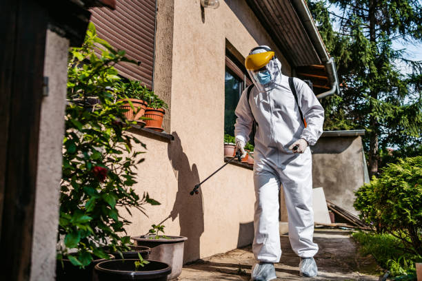 Best Local Pest Control Services  in Longboat Key, FL
